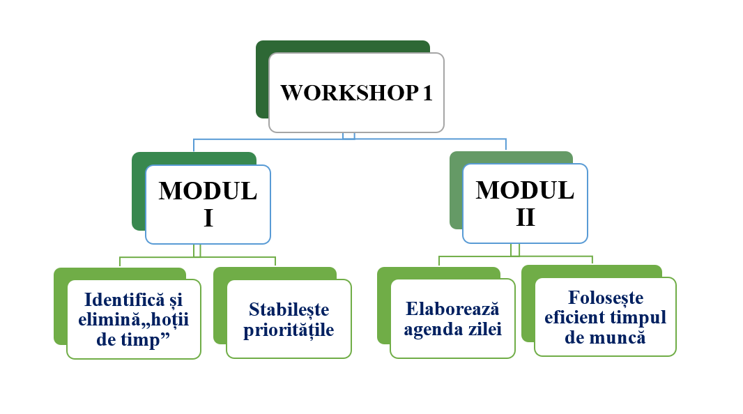 Raționamentul atelierului