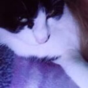 Profile photo of Fometescu